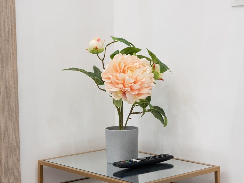 Penthouse - Photo 46