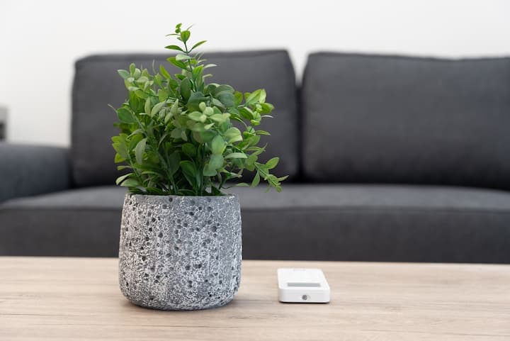 Syntagma Luxury Suites - Photo 17